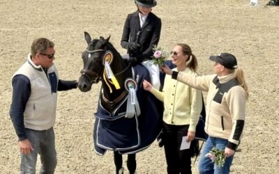 Amy Carlotta Reinfandt + Nandoo N Sieger in Prfg Nr. 22/1 – 1. Abt. (WN 8,8) – Und mit Lydago Platz 2 (WN 8,3)