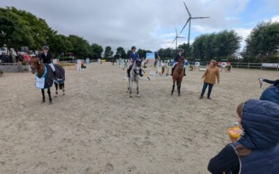 L-Stilspringen